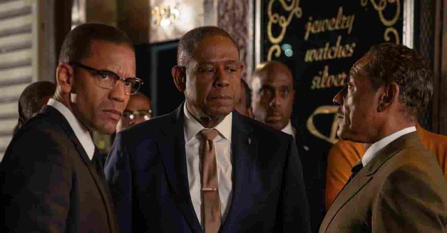 Get Handpicked TV Picks